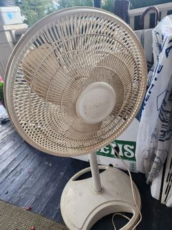 Fan