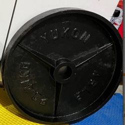 PAIR OF YUKON OLYMPIC 45lb WEIGHT PLATES