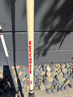 🎣 Berkley Big Game 8’ Medium Heavy Spinning Rod – BGS802MH