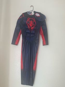 Kids Spiderman Costume