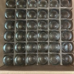 36 Side Water Glasses 