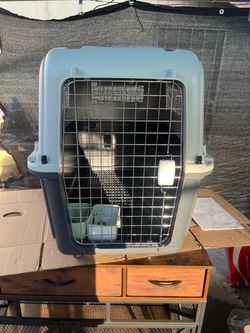 Large Hard-Shell Pet Travel Carrier Crate