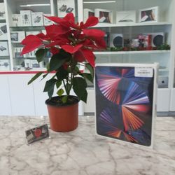 12.9" IPad Pro 128gb Wifi. (Read Description)