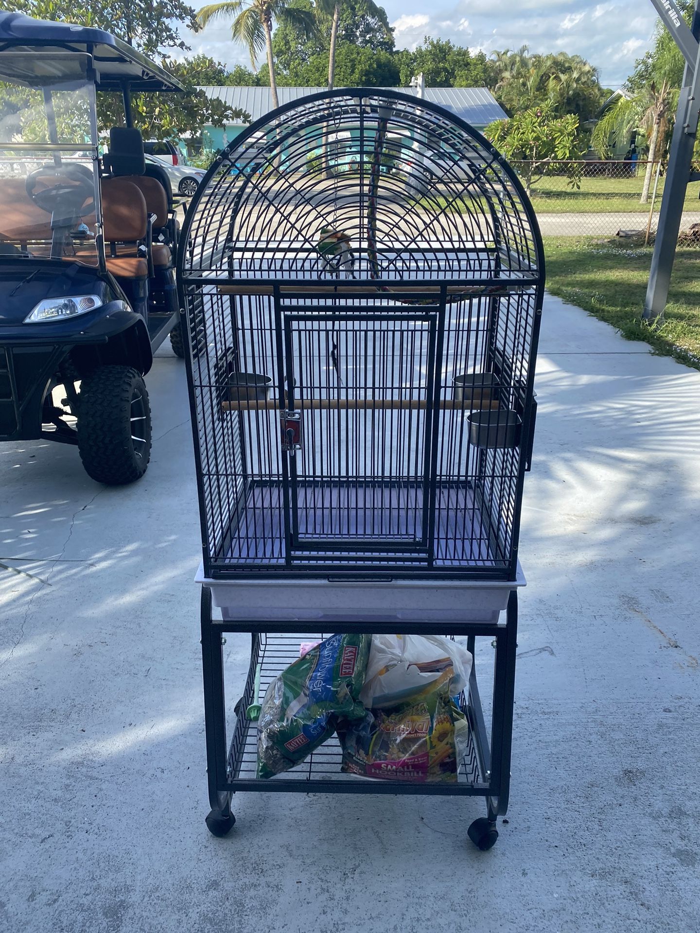 Bird Cage