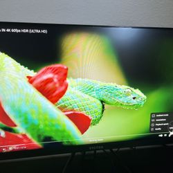 21.5" 144Hz Gaming Monitors (x2)