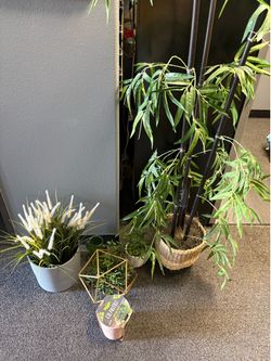 Faux plants