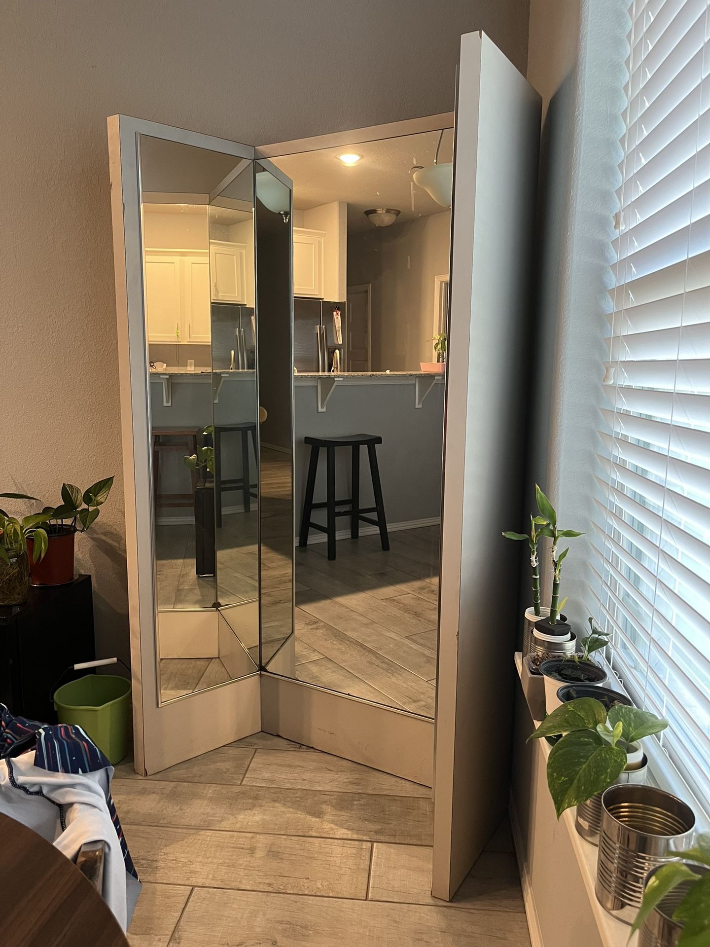 Body Mirror