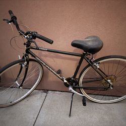 Schwinn Bike