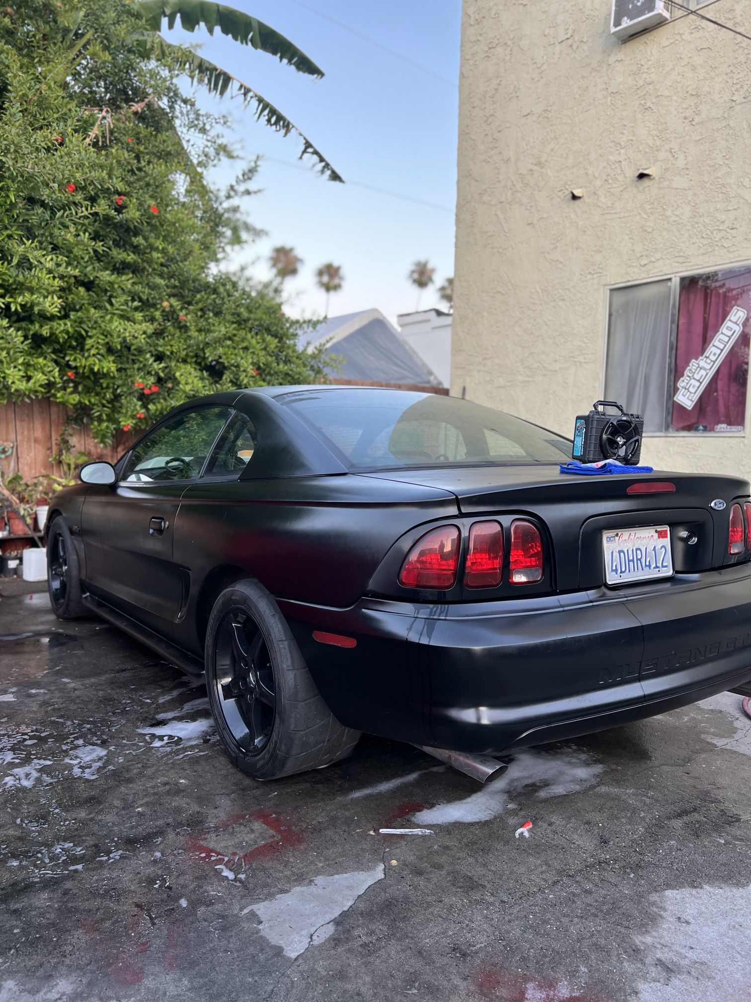 Mustang GT Bumpers