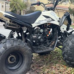 Rebuilt 4 wheeelr nibbi carb etc