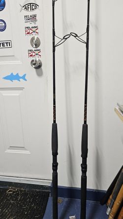 Fishing Rods Star Rods 