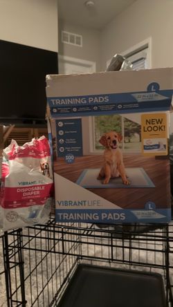 Dog Diapers & Training Pad