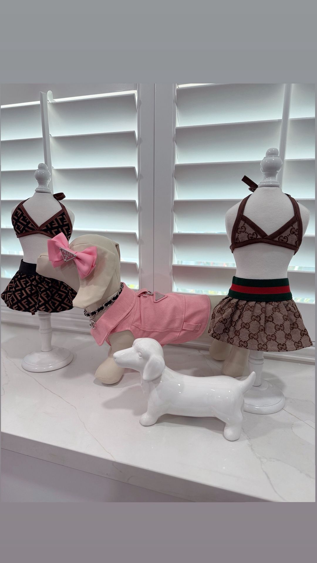 Dog Swim Suit 