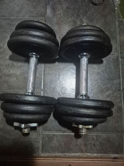 30lbs Dumbells Weights