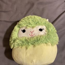 Squishmellow Plushie