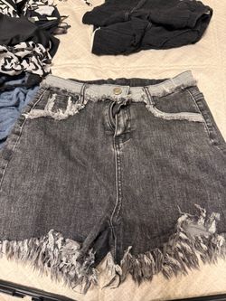 Size L