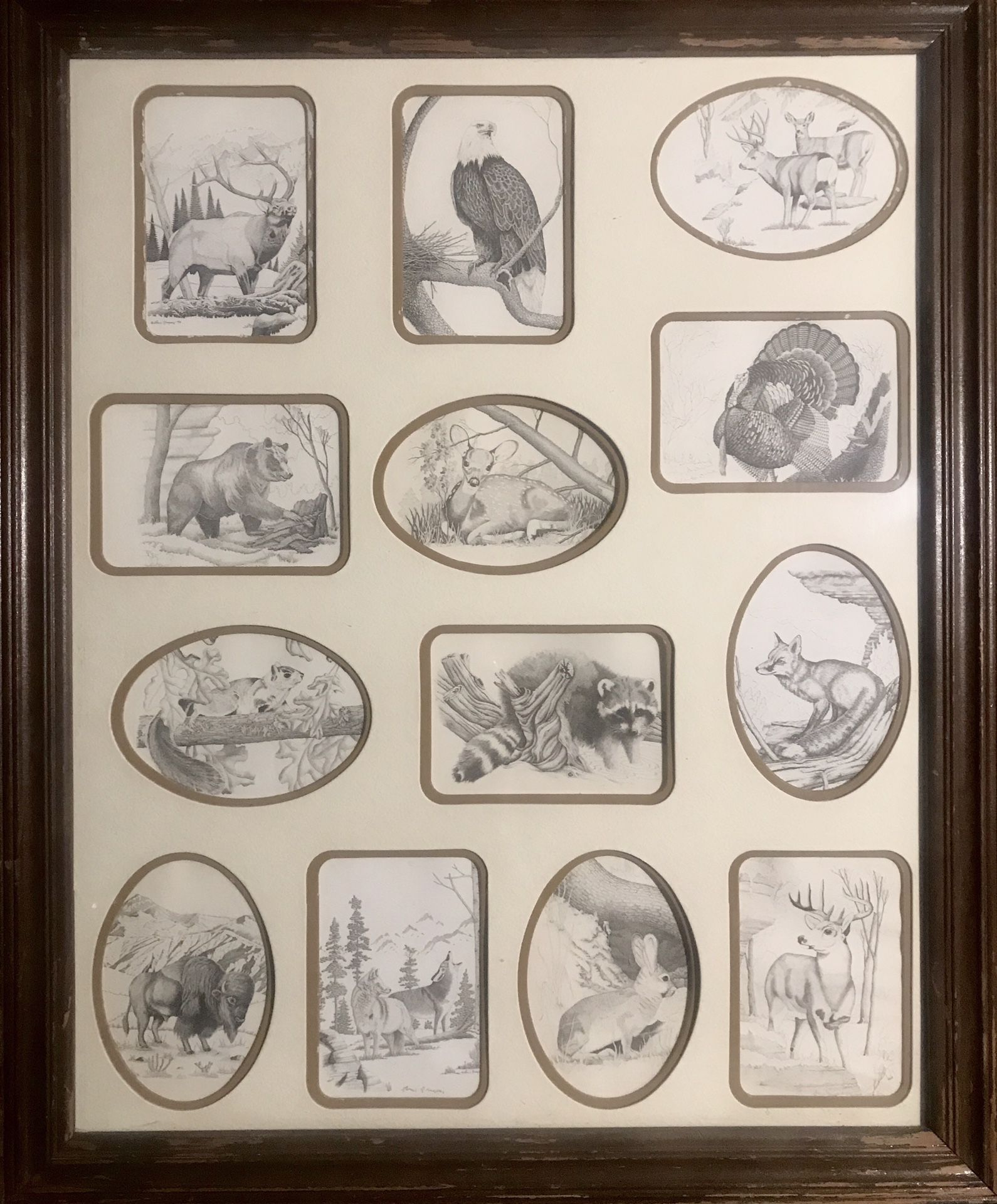 PEN &INK ART OF ANIMALS IN NATURE IN WOOD FRAME