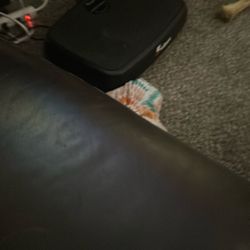 Fitbit 