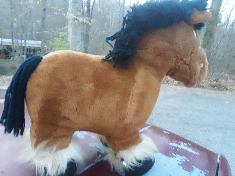 Brown Horse