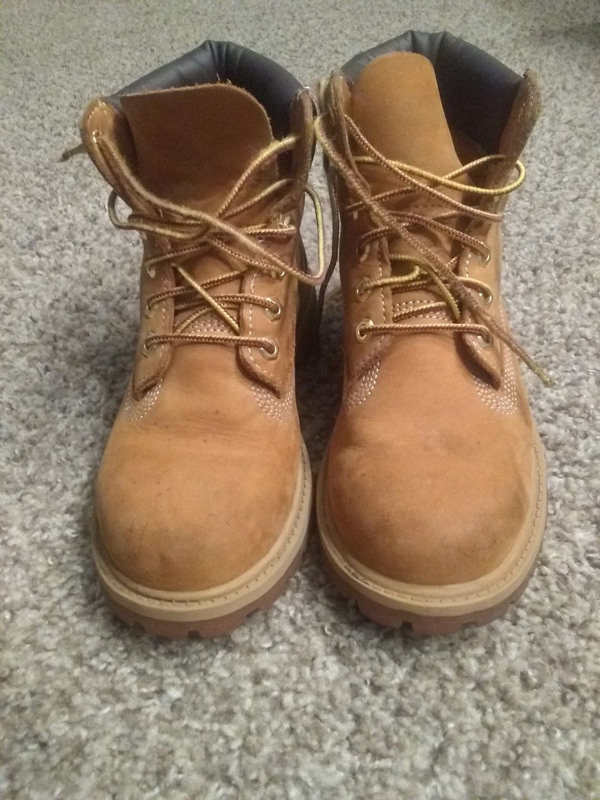 Timberland 1.5 best sale