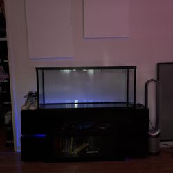 55 Gallon Fish Tank