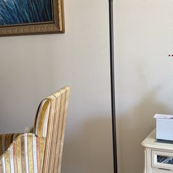 Floor Lamp 73”