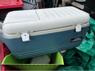 Extra large ice chest with top opening