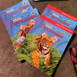 Math Expressions Level 2