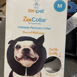 Recovery Collar