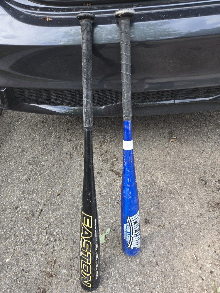 2 Baseball Bats