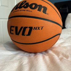Wilson EVOnxt Men’s Size Basketball