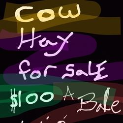 Hay For Sale. 200 Per Ton 