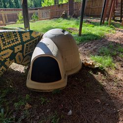 Igloo dog house