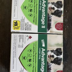 Advantage Flea Large Dog
