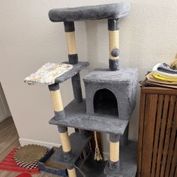 Cat Tower