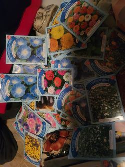 Variety Heirloom & Garden Flower Seed Packets – Morning Glory, Eggplant, Sage, Marigold, Zinnias