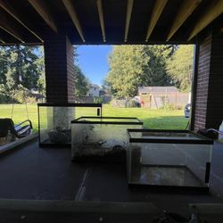 Fish Tanks
