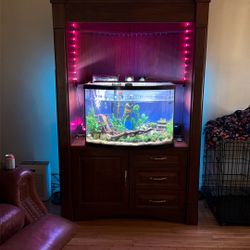 Solid Walnut Or More/Entertainment Unit With Drawers