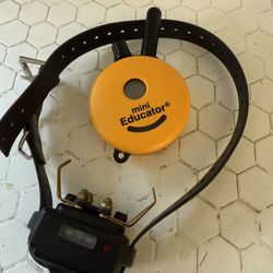 Mini Educator Dog Collar