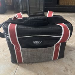 Igloo Lunch Bag