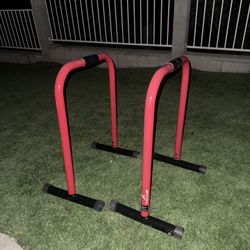 Dip Bars (calisthenics )