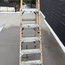 6 Ft Ladder 