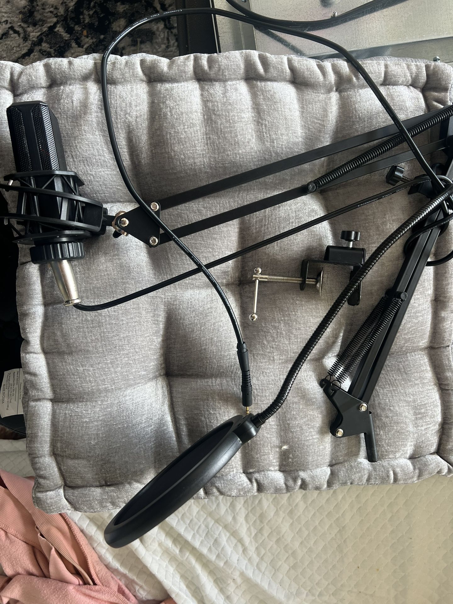 Microphone