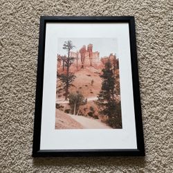 Framed Art Print: Desert, rock, Trees and sand!