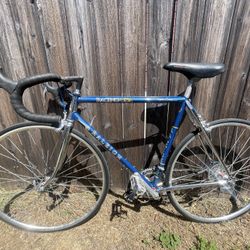Clean Vintage Raleigh Super Course Model 1984