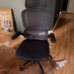 Ergonomic Office chair