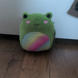 Green With Rainbow Froggy Squish 