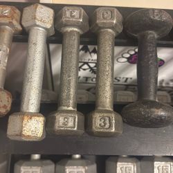 3 Pound Pair Dumbbells (6 Lbs Total)
