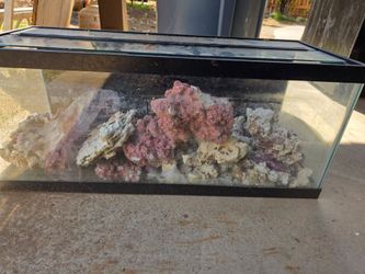 20 gallon tank with lid and dry rock