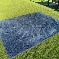 Area Rug 